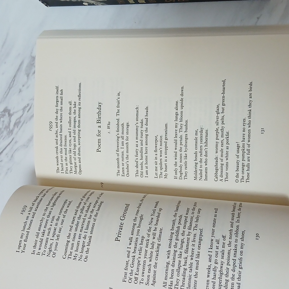 Sylvia Plath Book Collection - Picture 13 of 16
